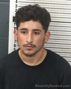 Mugshot of ERICK CASTILLO-SEGOVIA booked in Dona Ana County, New Mexico on April 2, 2026