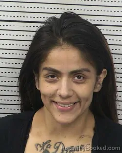 Mugshot of EUFEMIA M VILLA booked in Dona Ana County, New Mexico on April 2, 2026