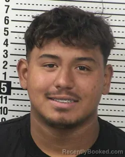 Mugshot of FERNANDO ELIAS-VASQUEZ booked in Dona Ana County, New Mexico on April 2, 2026