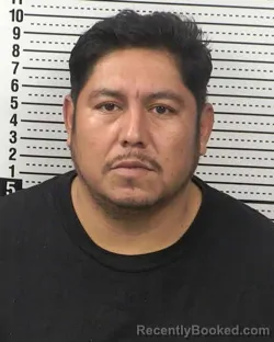 Mugshot of JOSE PINEDA-RANGEL booked in Dona Ana County, New Mexico on April 3, 2026