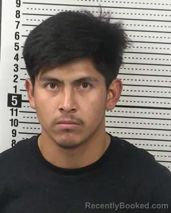 Mugshot of ROMUALDO HERNANDEZ-AMADOR booked in Dona Ana County, New Mexico on April 3, 2026