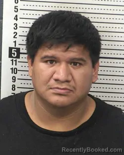 Mugshot of CARLOS HERNANDEZ-HERNANDEZ booked in Dona Ana County, New Mexico on April 3, 2026