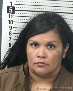 Mugshot of SENAIDA C TOVAR booked in Dona Ana County, New Mexico on April 3, 2026