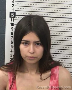 Mugshot of YAHIRA PEREZ booked in Dona Ana County, New Mexico on April 3, 2026