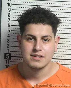 Mugshot of ABDALLA KHALED MAHMOUD ALBATAYNEH booked in Dona Ana County, New Mexico on April 3, 2026