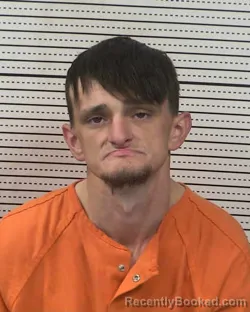 Mugshot of WILLIAM MICHAEL DODGE booked in Dona Ana County, New Mexico on April 4, 2026