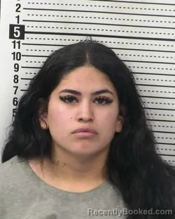 Mugshot of ELIZABETH ANDREA BENCOMO booked in Dona Ana County, New Mexico on April 4, 2026