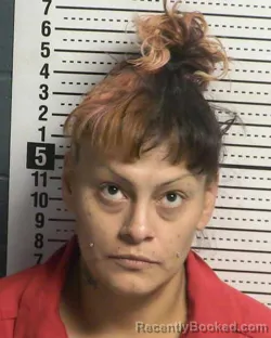 Mugshot of ERIKA CARMEN JIMENEZ booked in Dona Ana County, New Mexico on April 15, 2026