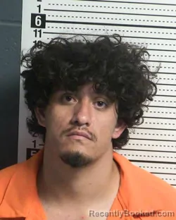 Mugshot of DAVID ESTEBAN HERNANDEZ CASTRO booked in Dona Ana County, New Mexico on April 15, 2026