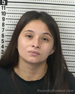 Mugshot of CRYSTAL HERRERA booked in Dona Ana County, New Mexico on April 16, 2026