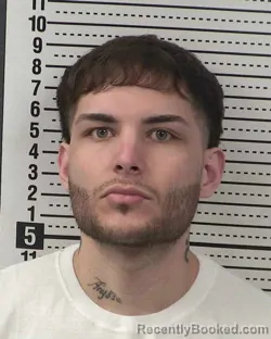 Mugshot of RAUL PANDO booked in Dona Ana County, New Mexico on April 24, 2026