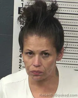 Mugshot of LISA MARIE MEZA booked in Dona Ana County, New Mexico on April 24, 2026