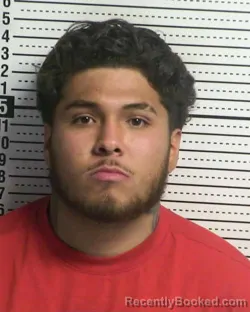 Mugshot of FABRISIO GUTIERREZ booked in Dona Ana County, New Mexico on April 25, 2026