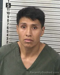Mugshot of MARIO CEPEDA-MIRANDA booked in Dona Ana County, New Mexico on April 29, 2026