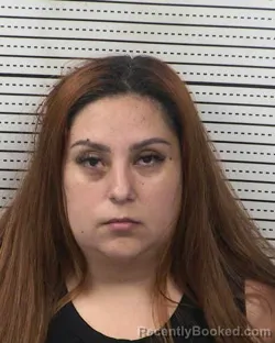 Mugshot of AYLIN ALEJANDRA HERNANDEZ booked in Dona Ana County, New Mexico on April 30, 2026