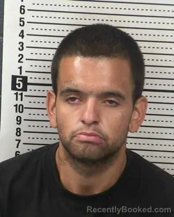 Mugshot of ALBERTO SANDOVAL booked in Dona Ana County, New Mexico on April 30, 2026