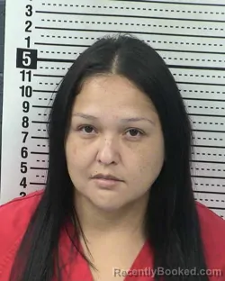 Mugshot of ARELY RAMOS booked in Dona Ana County, New Mexico on April 30, 2026