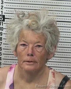 Mugshot of JESSICA JAMES booked in Dona Ana County, New Mexico on May 1, 2026