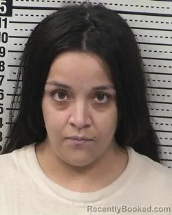 Mugshot of XOCHITL A FLORES booked in Dona Ana County, New Mexico on May 4, 2026