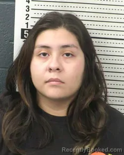 Mugshot of ESTRELLA ESMERALDA HERNANDEZ booked in Dona Ana County, New Mexico on May 6, 2026