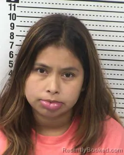 Mugshot of ESTHER MORENO-DIAZ booked in Dona Ana County, New Mexico on May 7, 2026