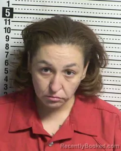 Mugshot of ELIZABETH CRYSTAL HERNANDEZ booked in Dona Ana County, New Mexico on May 8, 2026