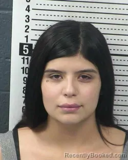 Mugshot of ALEXIS ARZABAL booked in Dona Ana County, New Mexico on May 8, 2026