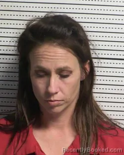 Mugshot of CHRISTY SALLEE booked in Dona Ana County, New Mexico on May 10, 2026