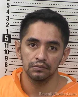 Mugshot of JOEL MENA-NAVA booked in Dona Ana County, New Mexico on May 11, 2026