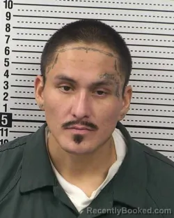 Mugshot of GARY G BEGAY booked in Dona Ana County, New Mexico on May 12, 2026