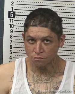Mugshot of VINCENTE C MEDINA booked in Dona Ana County, New Mexico on May 13, 2026