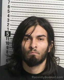 Mugshot of LUIS FELIPE RAMIREZ booked in Dona Ana County, New Mexico on May 13, 2026