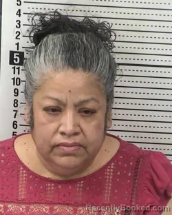 Mugshot of MARIA LURDEZ HERNANDEZ-ASENCIO booked in Dona Ana County, New Mexico on May 14, 2026
