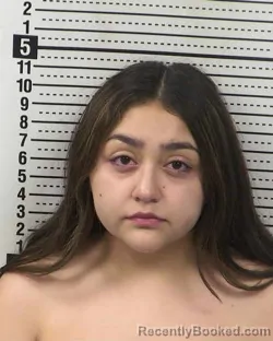 Mugshot of EMILY MAGGIE FERNANDEZ booked in Dona Ana County, New Mexico on May 16, 2026
