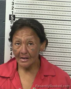 Mugshot of JESSICA HOLGUIN booked in Dona Ana County, New Mexico on May 17, 2026