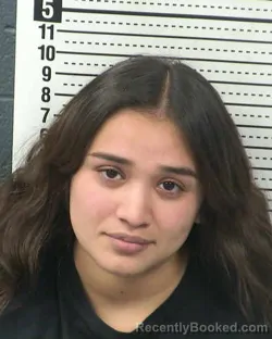 Mugshot of ANGELINA J HERNANDEZ booked in Dona Ana County, New Mexico on May 19, 2026