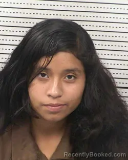 Booking photo from Dona Ana County, New Mexico