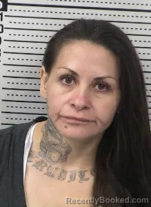 Mugshot of JESSI TRUJILLO booked in Dona Ana County, New Mexico on June 23, 2026