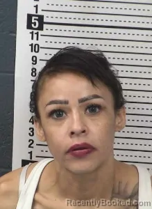 Mugshot of LAURA V VALLES booked in Dona Ana County, New Mexico on June 25, 2026