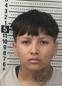 Mugshot of AYLINE ZAPATA booked in Dona Ana County, New Mexico on June 30, 2026