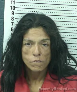 Mugshot of JASMINA M VERDUGO booked in Dona Ana County, New Mexico on July 1, 2026