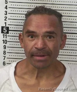 Mugshot of ELEE GARCIA SILVA booked in Dona Ana County, New Mexico on July 2, 2026