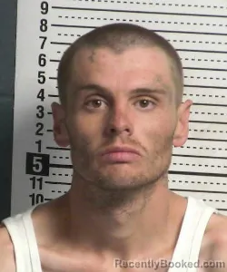 Mugshot of ADAM RAY MCDANIEL booked in Dona Ana County, New Mexico on July 4, 2026