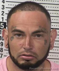 Mugshot of AURELIO PINELA booked in Dona Ana County, New Mexico on July 5, 2026