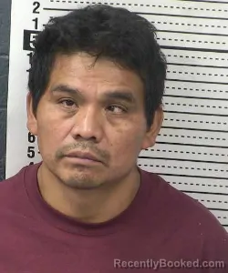 Mugshot of CARLOS CALEL-ALVARADO booked in Dona Ana County, New Mexico on July 6, 2026