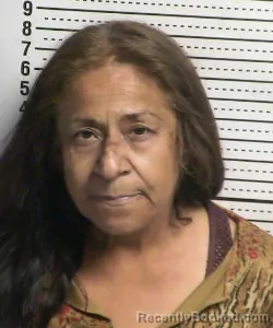 Mugshot of DIANE G RIVAS booked in Dona Ana County, New Mexico on July 6, 2026