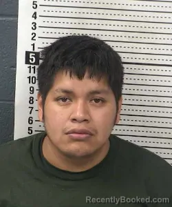 Mugshot of LUIS NAVARRETE-GOCHE booked in Dona Ana County, New Mexico on July 8, 2026