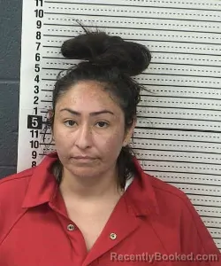 Mugshot of AMBER MARIE ALVAREZ booked in Dona Ana County, New Mexico on July 8, 2026