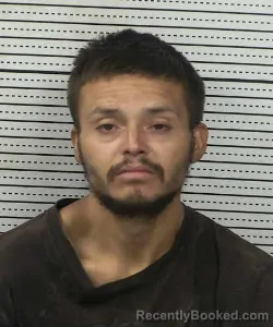 Mugshot of JOEL ALBA booked in Dona Ana County, New Mexico on July 8, 2026