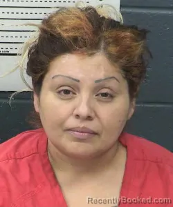 Mugshot of PAULA ORTIZ booked in Dona Ana County, New Mexico on July 8, 2026